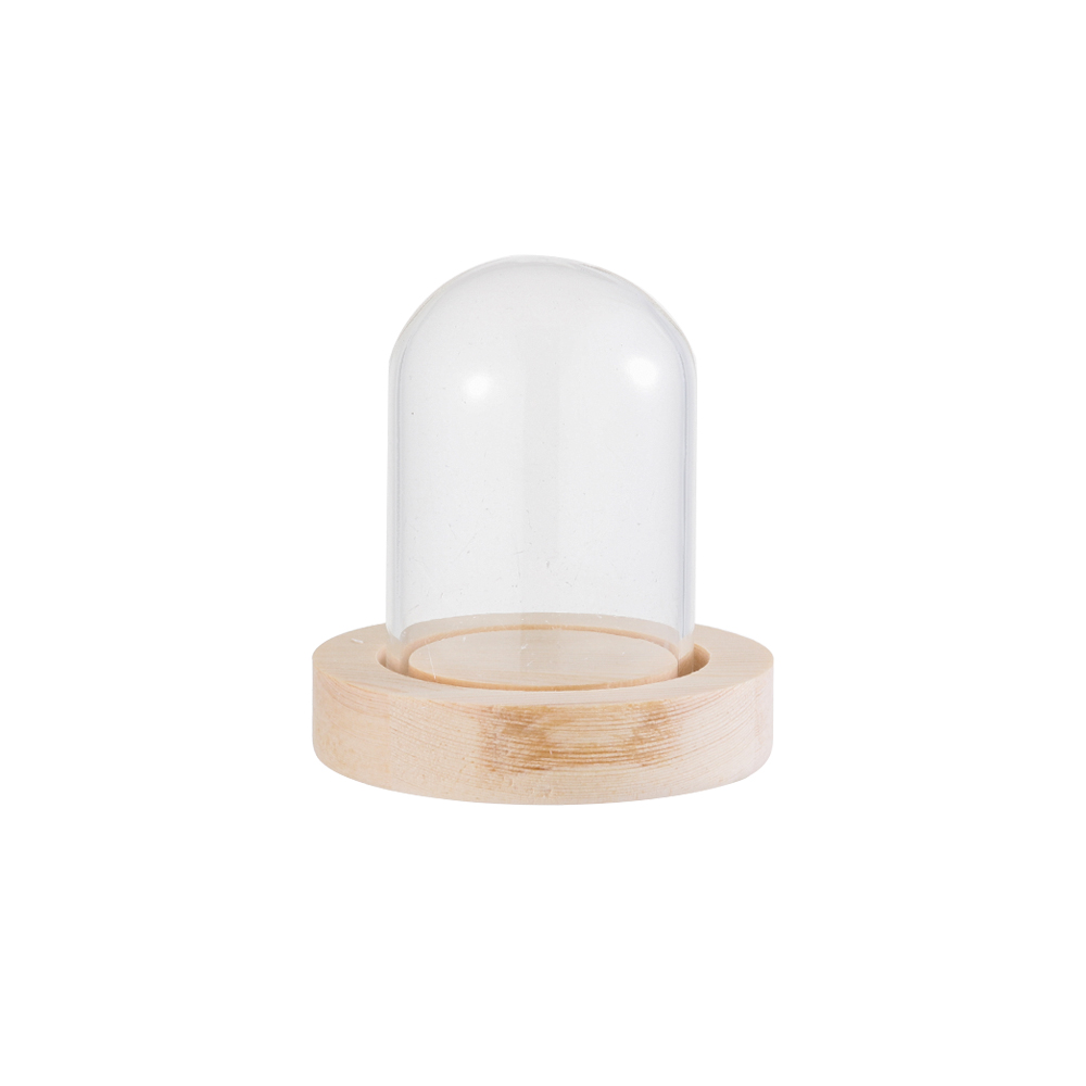Luzes de Fada para Decoração d - Vase Decor avaliação e preço