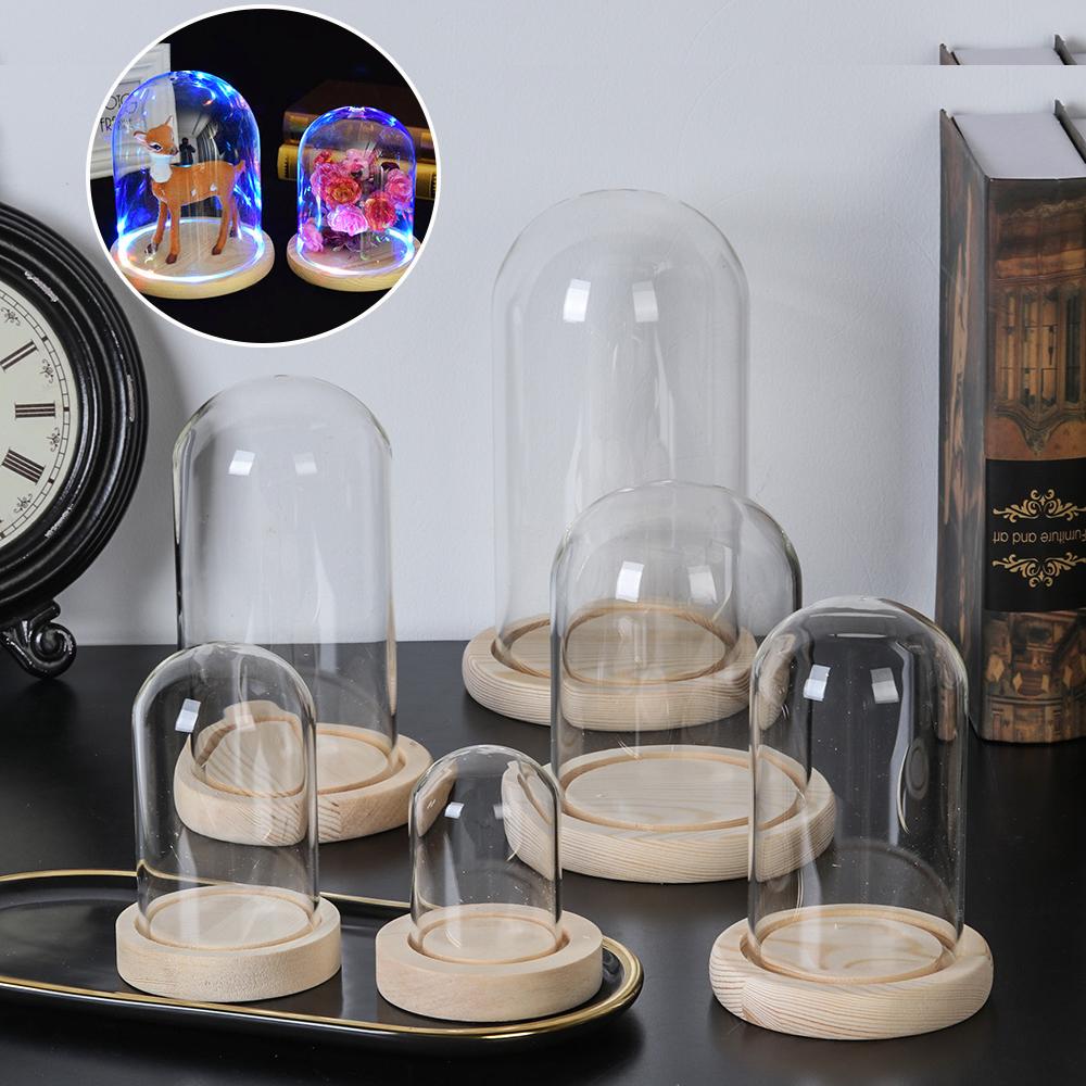 Luzes de Fada para Decoração d - Vase Decor avaliação e preço