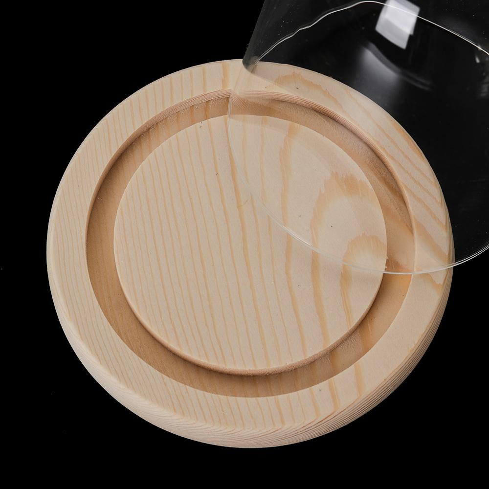 Luzes de Fada para Decoração d - Vase Decor avaliação e preço