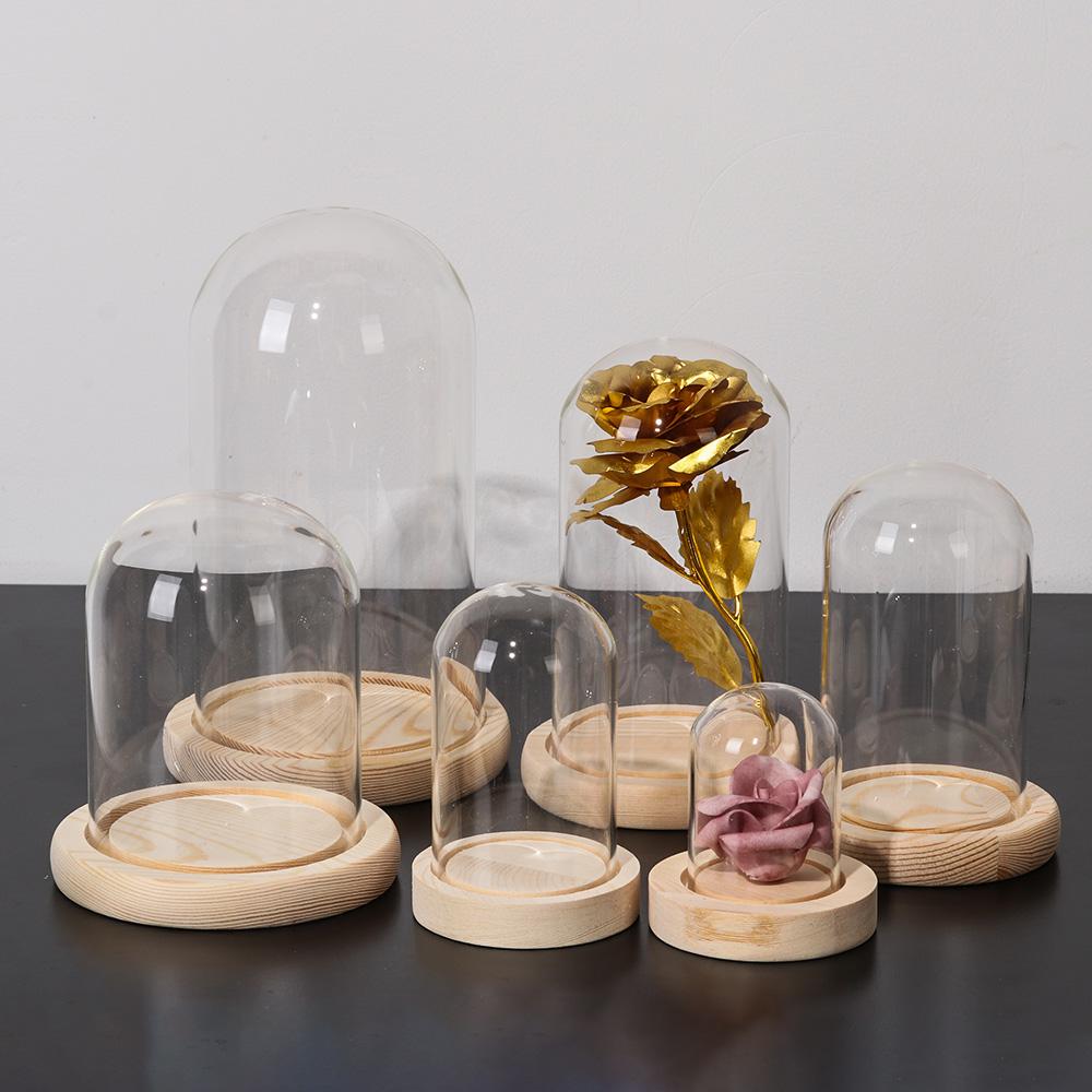 Luzes de Fada para Decoração d - Vase Decor avaliação e preço